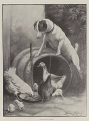 De uitzetting van Diogenes